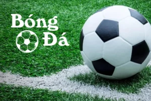 Quy Định Về Bóng Trong Cuộc Và Bóng Ngoài Cuộc Năm 2026