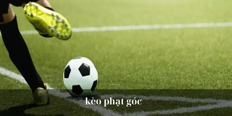 Chinh Phục Kèo Phạt Góc Bóng Đá Tại 1Gom Với Những Chiến Thuật Chuyên Gia