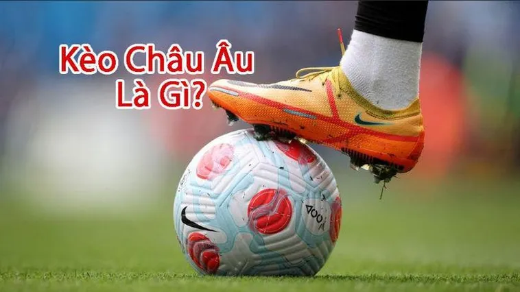 Kèo Châu Âu Tại 1Gom Phân Tích Kèo 1X2 Cho Nhà Đầu Tư Thông Thái
