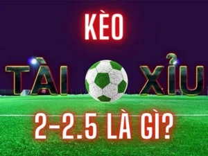 Kèo 2.25 Tại 1Gom Cách Phân Tích Tỷ Lệ Cược Cho Trận Cầu Chênh Lệch
