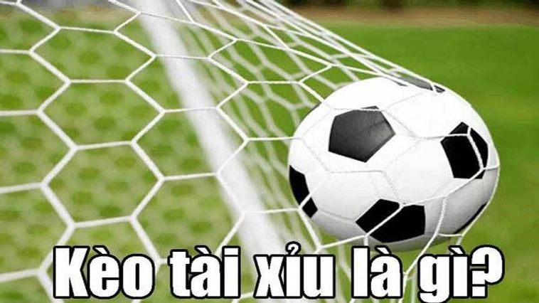 Kèo Tài Xỉu Bóng Đá Tại 1Gom Và Những Chiến Thuật Soi Kèo Hiệu Quả Nhất