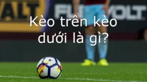 Kèo Trên Kèo Dưới Tại 1Gom Giải Mã Nhanh Kèm Ví Dụ Thực Tế