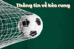 Bí Quyết Đánh Kèo Rung Trong Bóng Đá Tại 1Gom Hiệu Quả Nhất Năm 2026